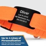 Personalized Reflective Dog Collar with Engraved ID Tag