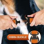 NexaPaw Adjustable Waterproof Dog Collar with ID Tag