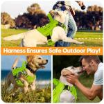 Tactical No-Pull Dog Harness for Large Breeds