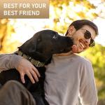 NexaPaw Waterproof Biothane Dog Collar with ID Tag