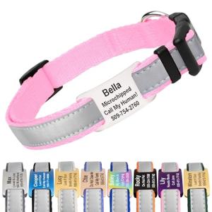 Personalized Reflective Dog Collar with Engraved Tag