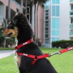 Pawtitas Adjustable No-Pull Dog Harness in Pink