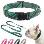 Adjustable Dog Collar and Leash Set for Small Dogs
