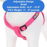 Pawtitas Adjustable No-Pull Dog Harness in Pink