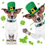 9 Pcs Adjustable Holiday Dog Collars Set