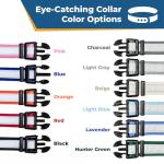 Personalized Reflective Dog Collar with Engraved Tag