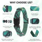 Adjustable Dog Collar and Leash Set for Small Dogs