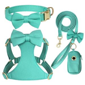 Adorable Small Dog Harness and Leash Set