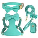 Adorable Small Dog Harness and Leash Set