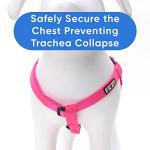 Pawtitas Adjustable No-Pull Dog Harness in Pink