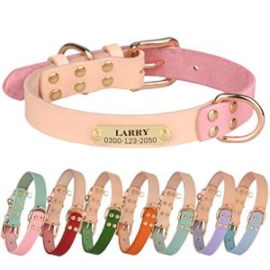 Personalized Leather Dog Collar with Engraved Tag