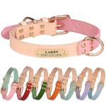 Personalized Leather Dog Collar with Engraved Tag