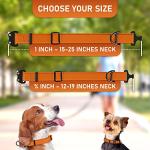 NexaPaw Adjustable Waterproof Dog Collar with ID Tag