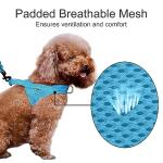 Plutus No Pull Adjustable Mesh Dog Harness