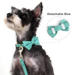 Adorable Small Dog Harness and Leash Set
