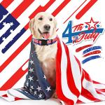 9 Pcs Adjustable Holiday Dog Collars Set