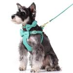 Adorable Small Dog Harness and Leash Set