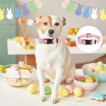 9 Pcs Adjustable Holiday Dog Collars Set