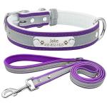 Personalized Reflective Dog Collar and Leash Set