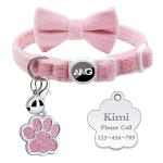 Personalized Velvet Cat Collars with ID Tags