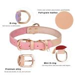 Personalized Leather Dog Collar with Engraved Tag