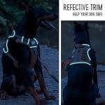 Tactical No Pull Dog Harness with ID Card