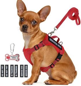 Small Service Dog Vest with ID Tag & Leash