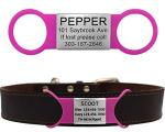 Personalized Silicone Slide-On Pet ID Tags