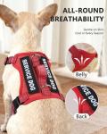 Small Service Dog Vest with ID Tag & Leash