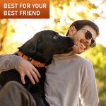 NexaPaw Adjustable Waterproof Dog Collar with ID Tag