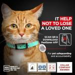 Stylish Mint Leather Cat Collar with QR ID Tag