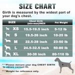 Reflective No Pull Dog Harness with Control Handle