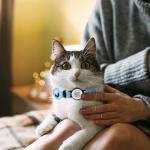 AirTag Cat Collar with Breakaway Safety - Pink