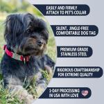 Engraved Noise-Free Pet ID Collar Tag