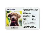 Emergency Pet ID Card with Home Alone Instructions