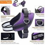 Haapaw No Pull Dog Harness with 3 Clips
