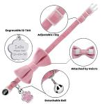 Personalized Velvet Cat Collars with ID Tags