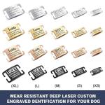 Engraved Noise-Free Pet ID Collar Tag