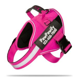Custom No Pull Dog Harness with Name & Phone Number