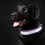 Personalized Reflective Dog Collar and Leash Set