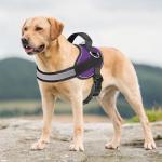 Haapaw No Pull Dog Harness with 3 Clips