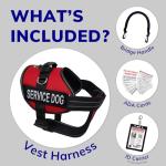 Service Dog Vest Harness Kit for Small Dogs
