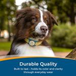 Personalized Airtag Holder for Dog Collars