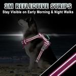 Reflective No Pull Dog Harness with Control Handle