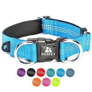 BAAPET Secure Dog Collar with ID Tag Hanger