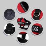 Service Dog Vest Harness Kit for Small Dogs