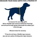 Service Dog Vest with Patch, ID Badge & Pocket