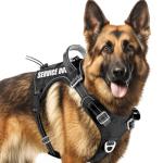Personalized Tactical Dog Harness with Reflective Detail