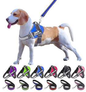 Moonpet Custom No Pull Dog Harness and Leash Set