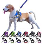 Moonpet Custom No Pull Dog Harness and Leash Set